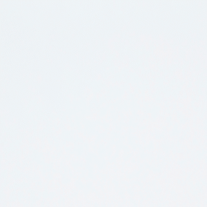 WHITE-PERFECT-1.png
